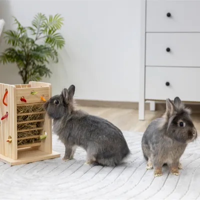 Kerbl Pet věž na seno a zeleninu pro malá zvířata