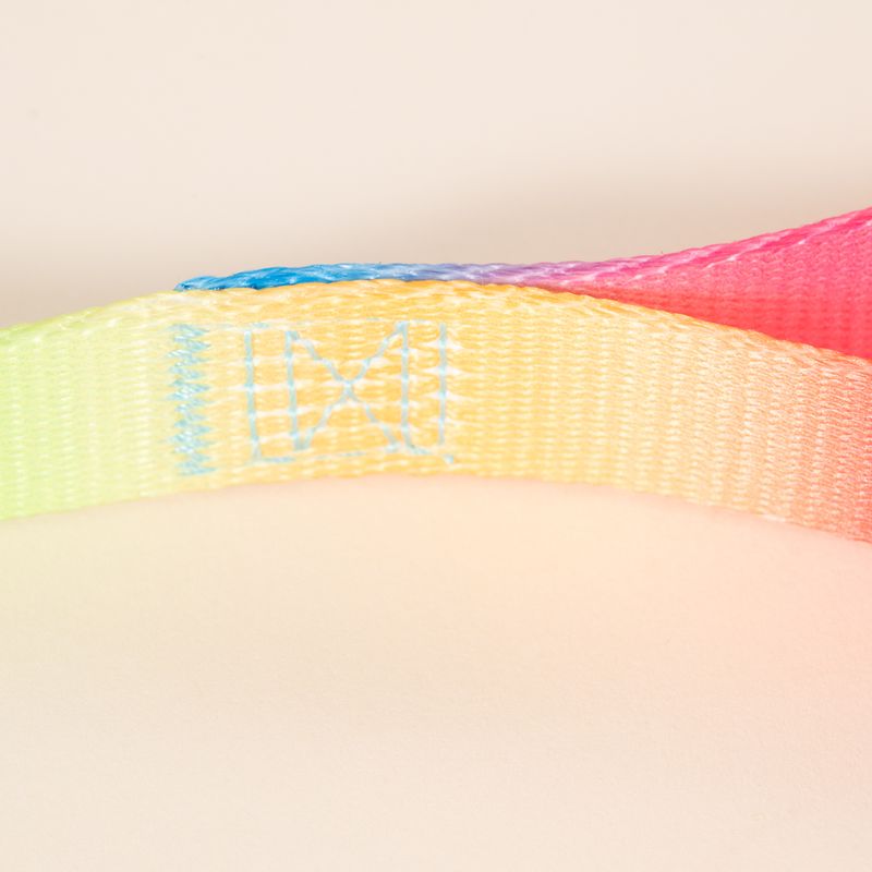TIAKI Hundeleine Rainbow