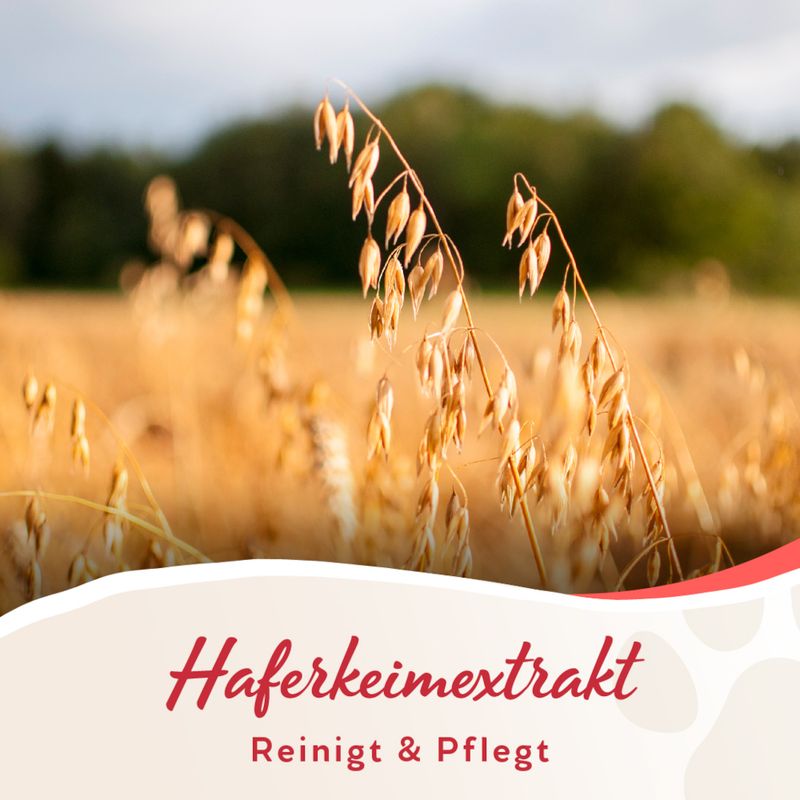 Haferkeimextrakt. Reinigt & Pflegt.