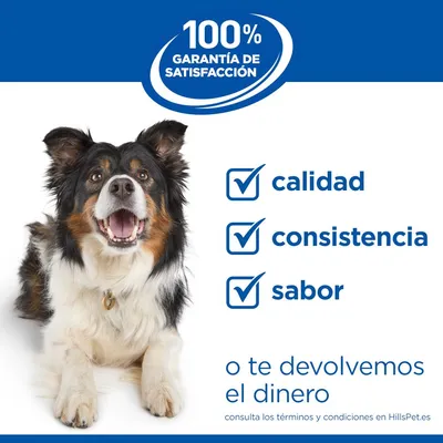 Hill's Science Plan Hypoallergenic Adult Medium con salmón