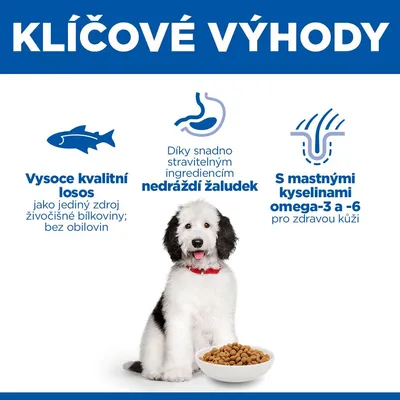 Hill's Science Plan Hypoallergenic Adult Large Salmon