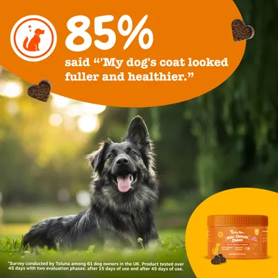 Zesty Paws Aller-Immune Chews laks
