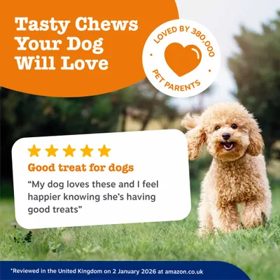 Zesty Paws 5-in-1 Chews Multifunctional - Turkey - dog supplements - 50 Chews Zesty Paws 5-in-1 Chews Multifunctional - Turkey - dog supplements - 50 Chews