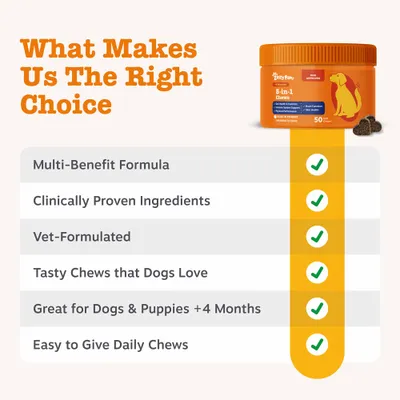 Zesty Paws 5-in-1 Chews Multifunctional - Turkey - dog supplements - 50 Chews Zesty Paws 5-in-1 Chews Multifunctional - Turkey - dog supplements - 50 Chews