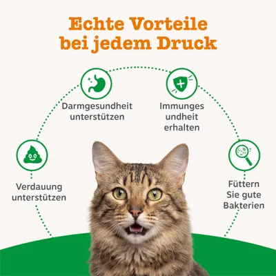 Echte Vorteile bei jedem Druck: Darmgesundheit unterstützen, Immungesundheit erhalten, Verdauung unterstützen, Füttern Sie gute Bakterien. Katze im Vordergrund.