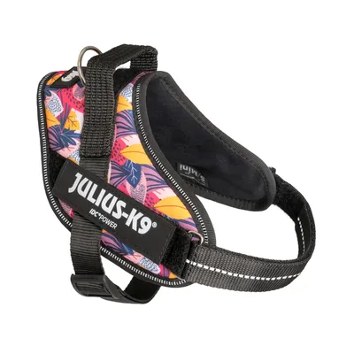 Edição limitada Julius-K9 IDC® Powerharness, Leaf 2
