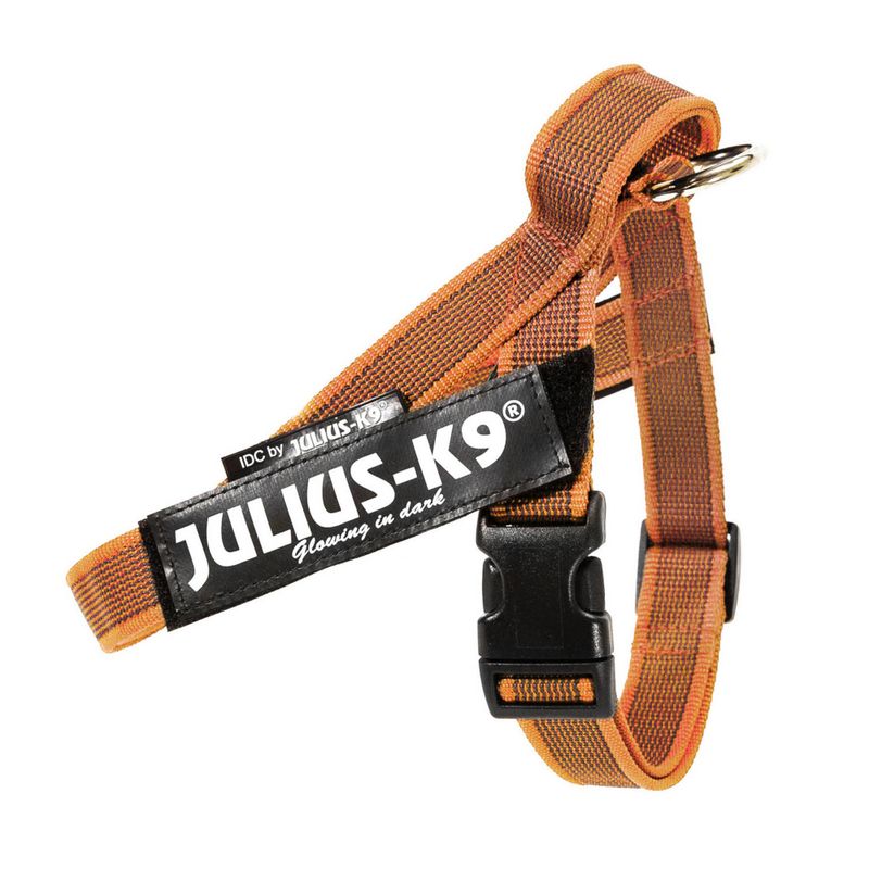Julius-K9 IDC® Kleur & Grijs tuig, oranje/grijs