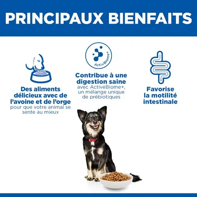 Principaux avantages : aliment à l'avoine et à l'orge, soutient une digestion saine grâce aux prébiotiques ActiveBiome+, favorise la motilité intestinale. Un chien est représenté à côté d'une gamelle contenant de la nourriture sèche. Principaux avantages : aliment à l'avoine et à l'orge, soutient une digestion saine grâce aux prébiotiques ActiveBiome+, favorise la motilité intestinale. Un chien est représenté à côté d'une gamelle contenant de la nourriture sèche.