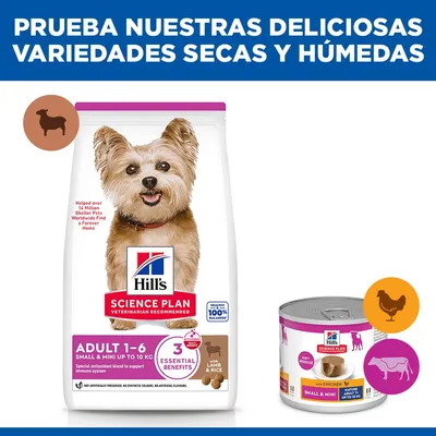 Hill's Science Plan Adult 1-6 Small & Mini cordero y arroz