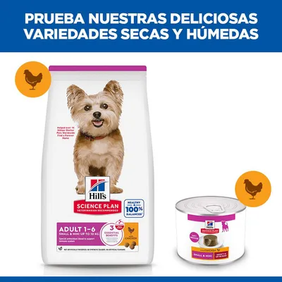 Hill's Science Plan Adult Small & Mini Mousse para perros