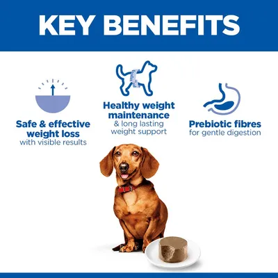 Hill's Science Plan Perfect Weight Adult Small & Mini Mousse