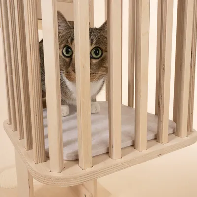 Natural Paradise Tulip kradsetræ Natural Paradise Tulip kradsetræ