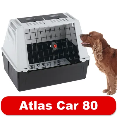 Hondenbench van kunststof en metaal, modelnaam Atlas Car 80 zichtbaar op rode balk, hond staat naast de bench.