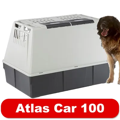 Hondenbench van kunststof, model Atlas Car 100, met ventilatieroosters en een grote hond ernaast. Rood label onderaan met witte tekst: Atlas Car 100.