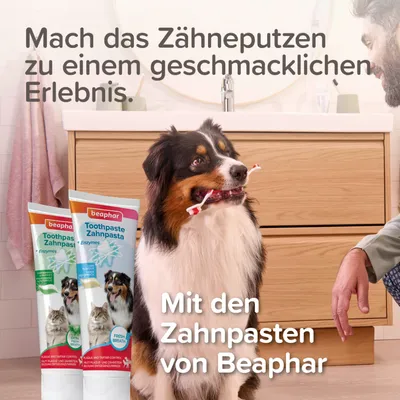 beaphar bambusz fogkefe