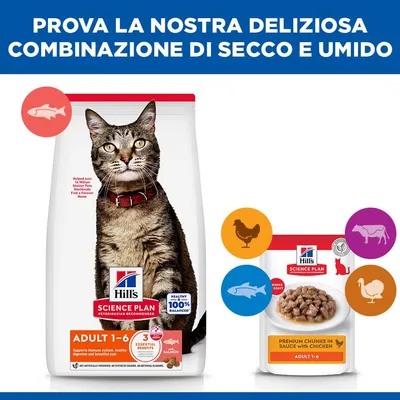 Hill's Science Plan Adult 1-6 Salmone