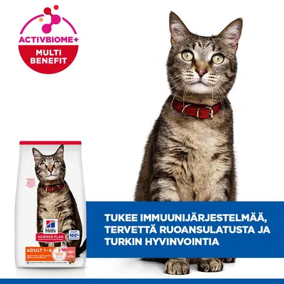 Hill's Science Plan Adult 1-6 -kissanruoka ActivBiome+ Multi Benefit. Teksti: Tukee immuunijärjestelmää, tervettä ruoansulatusta ja turkinhoitoa.