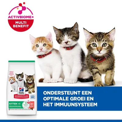 Hill's Science Plan Kitten <1 Zalm