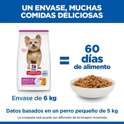 Hill's Science Plan Adult 1-6 Small & Mini con pollo