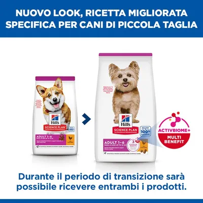 Hill's Science Plan Adult 1-6 Small & Mini con Pollo