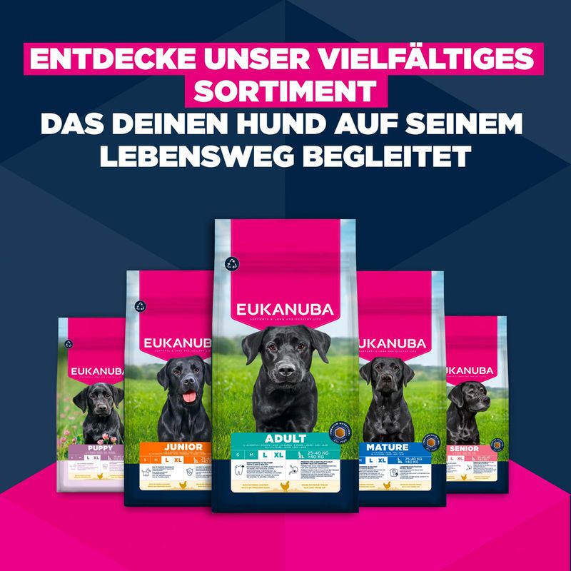 Eukanuba Premium Nutrition Senior Large & Giant Breed piščanec