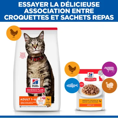 Hill's Science Plan Adulte 1-6 Croquettes et aliments humides au poulet, bœuf, poisson et dinde. Recommandation : combinaison de croquettes et de sachets fraîcheur. Hill's Science Plan Adulte 1-6 Croquettes et aliments humides au poulet, bœuf, poisson et dinde. Recommandation : combinaison de croquettes et de sachets fraîcheur.