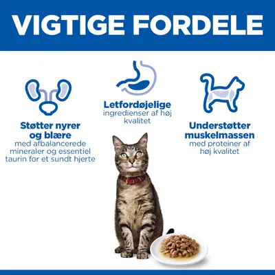 Vigtige fordele: Understøtter nyrer og blære, letfordøjelige ingredienser, understøtter muskelmasse. Kat med skål vådfoder afbildet. Vigtige fordele: Understøtter nyrer og blære, letfordøjelige ingredienser, understøtter muskelmasse. Kat med skål vådfoder afbildet.