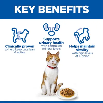 Key Benefits: Clinically proven, supports urinary tract health with controlled minerals, helps maintain vitality with a high L-lysine content. Image shows a cat and a food bowl. Key Benefits: Clinically proven, supports urinary tract health with controlled minerals, helps maintain vitality with a high L-lysine content. Image shows a cat and a food bowl.
