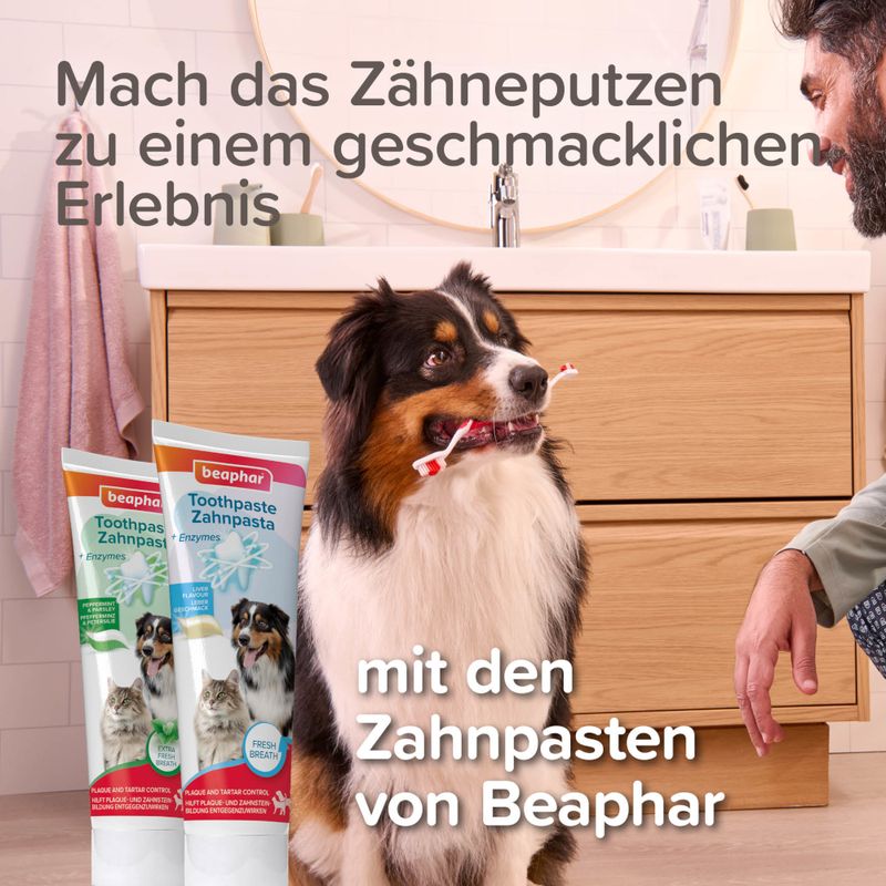 beaphar Zahnbürste für Hunde