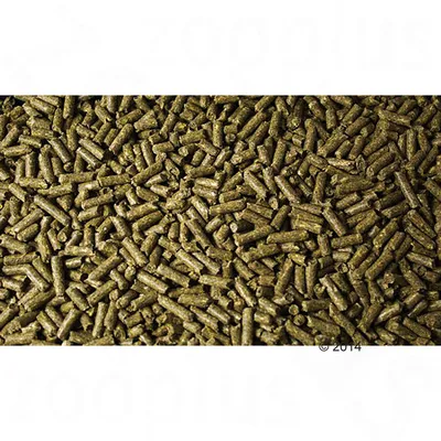 Primo piano di pellet verdi, possibilmente mangime per animali o lettiera. Nessuna informazione aggiuntiva visibile.
