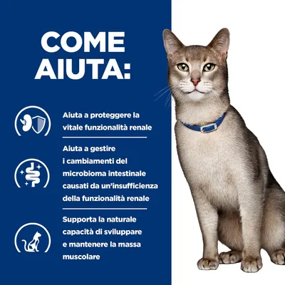 Hill's Prescription Diet k/d Kidney Care con Salmone