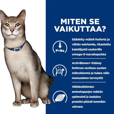 Grafiikka, jossa on kissa ja kolme pistettä: Säädellyt fosforin ja natriumin määrät, suoliston mikrobiston tukeminen munuaisten terveydelle, optimoidut välttämättömät aminohapot ja korkealaatuinen proteiini. Grafiikka, jossa on kissa ja kolme pistettä: Säädellyt fosforin ja natriumin määrät, suoliston mikrobiston tukeminen munuaisten terveydelle, optimoidut välttämättömät aminohapot ja korkealaatuinen proteiini.