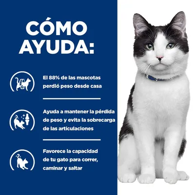 Hill's Prescription Diet j/d Metabolic + Mobility con pollo para gatos