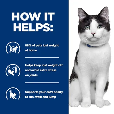 Hill's Prescription Diet j/d Metabolic + Mobility csirke macskatáp Hill's Prescription Diet j/d Metabolic + Mobility csirke macskatáp