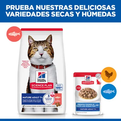 Hill's Science Plan Mature Adult 7+ comida seca y húmeda para gatos, variedad salmón y pescado oceánico, mostrado con envases y nombres de productos. Hill's Science Plan Mature Adult 7+ comida seca y húmeda para gatos, variedad salmón y pescado oceánico, mostrado con envases y nombres de productos.