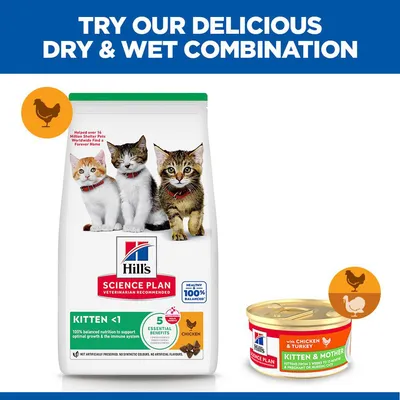 Hill's Science Plan Kitten & Mother Tender Mousse with Chicken & Turkey