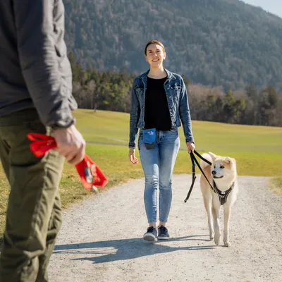 Set Curli : Harnais Air-Mesh Basic & Laisse pour chien, noir