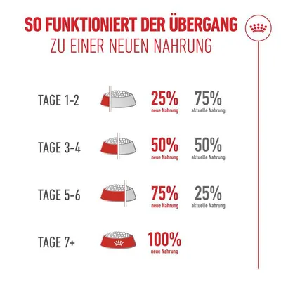 Royal Canin Ageing 15+