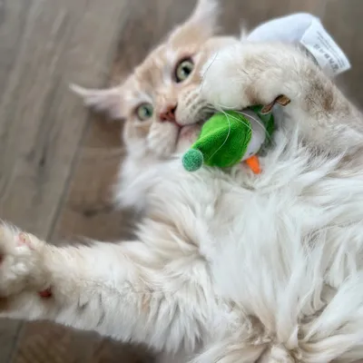 Aumüller Coussin Bonhomme de neige Frozen Fritz pour chat