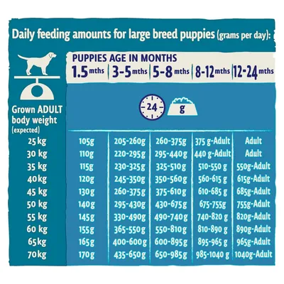 Daily feeding amounts chart for large breed puppies by expected adult weight and age in months, showing recommended grams per day from 1.5 to 24 months.