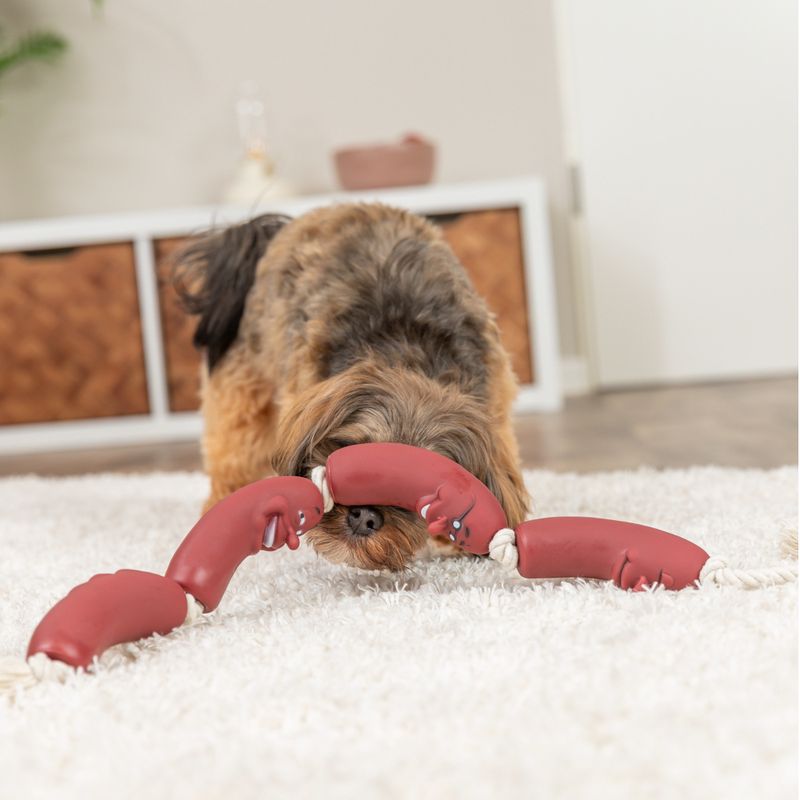 Trixie Chaîne à saucisses en vinyle avec corde pour chien