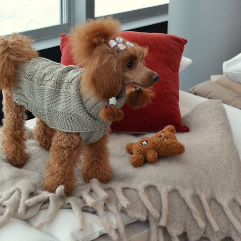 Rukka plyšák pro psy Teddy, hnědý