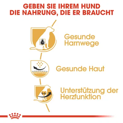 Grafik mit Text: 'Geben Sie Ihrem Hund die Nahrung, die er braucht'. Gesunde Harnwege, gesunde Haut, Unterstützung der Herzfunktion.