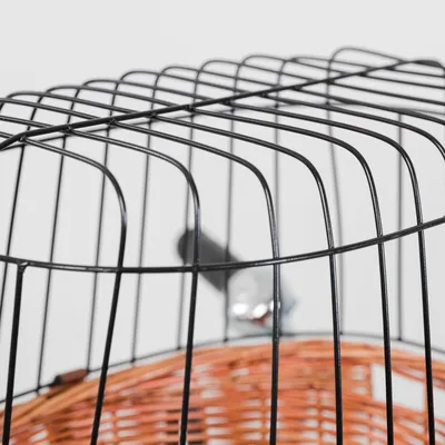 Trixie Front-Fahrradkorb mit Gitter