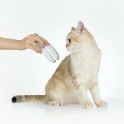 Petkit LED tagliaunghie PRO per animali domestici