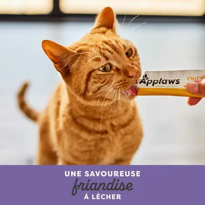 Applaws Friandise crémeuse 8 x 15 g