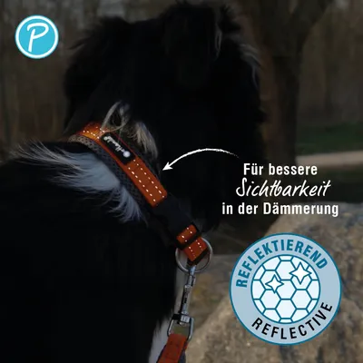 Petlando Outdoor Halsband, orange