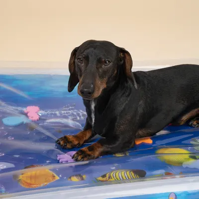 TIAKI Wasser-Spielmatte