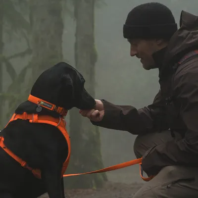 Ruffwear Front Range Halsband, Blaze Orange