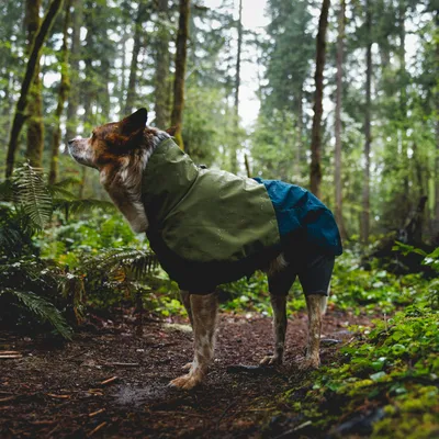 Ruffwear Sun Shower Coverall płaszcz dla psa, Midnight Blue